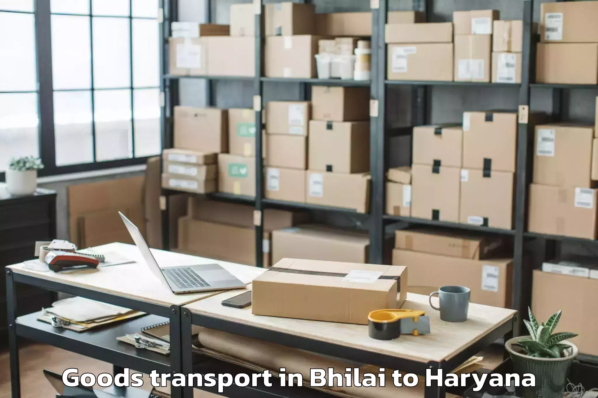 Reliable Bhilai to Sirsa Goods Transport